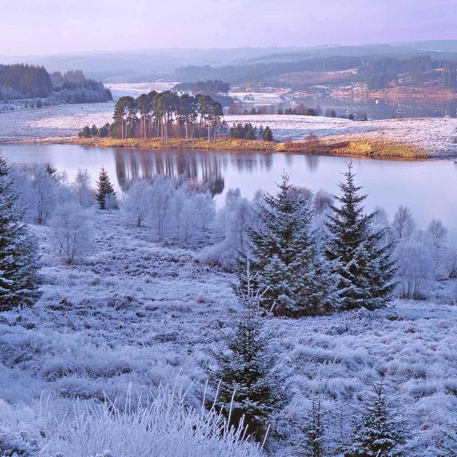 Grasmere Lodge - Bockenfield Country Park - Northumberland Felton  Dış mekan fotoğraf